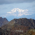 zoomata sul bianco
