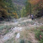 ripido canale erboso