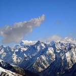 16-zoomata sul rosa