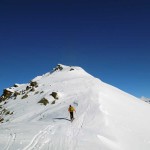 testa dei fra
