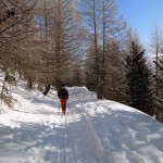 inizio della poderale