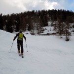 3-baite al limitare del bosco