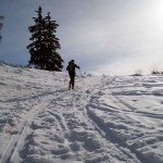 fuori dal bosco