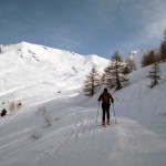 al limitare del boschetto