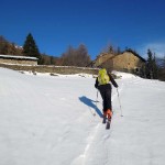 pieno desot