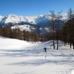 uscita dal bosco