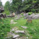 bivio quota 1351
