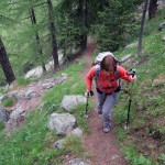 nel ripido bosco