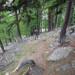 nel bosco oltre la grossa frana