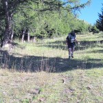 verso il bosco
