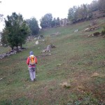 verso l'alpe agnerezzo