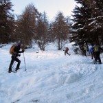 salita nel bosco