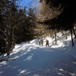 traverso nel bosco