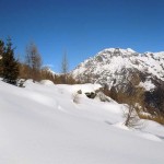 verso la dorsale
