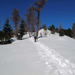 sull'ampia dorsale