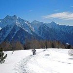 all'uscita del bosco rado