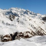 zoomata sul rosa
