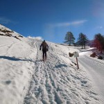 bivio sulla pista di fondo