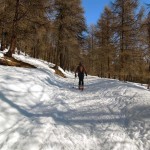 stradina