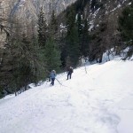 bosco ripido dopo il canalone