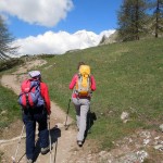 uscita dal bosco col monte bianco