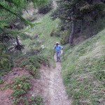 nel bosco iniziale