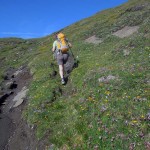 deviazione quota 2647