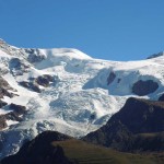zoomata sul rosa dall'alpeggio