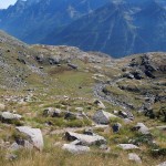 sopra gran piano