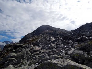 wyssbodehorn e a des il colle