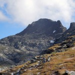 corno vitello