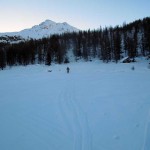 verso il boschetto