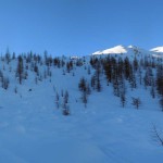 parte superiore del bosco con la punta al sole