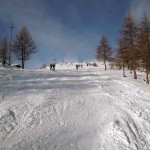 uscita dal bosco