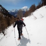 traverso sotto i becchi di fana