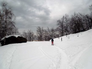 paline quota 1301