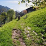 arbenache