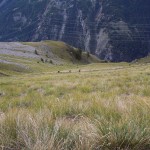 sull'ampio pendio erboso