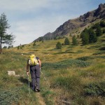 tra la rada vegetazione