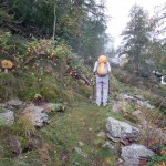 bivio quota 1467