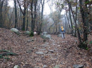 bivio per la ferrata quota 449