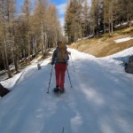 poderale sopra il bosco