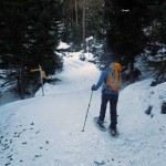 bivio quota 1531