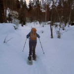 nel rado bosco