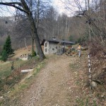 alpe campo