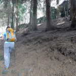 alpe volpera