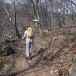bivio quota 1241