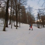 nel rado bosco
