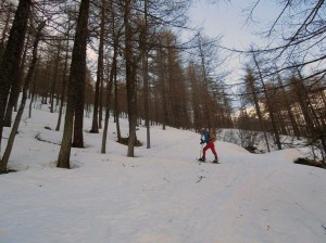 nel rado bosco