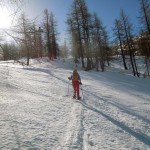 slargo nel bosco